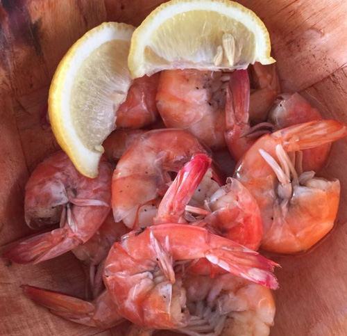 gulf shrimp, sob